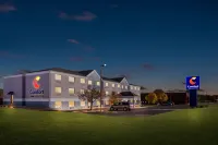 Comfort Inn & Suites  호텔