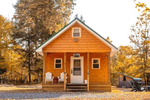 Adirondack Cabin, Private Hiking trail, Fishing, FirePit, Pet, BBQ