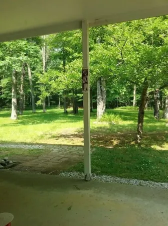 Fall Colors Are Coming Soon! Location, Huron National Forest Surrounded in Color