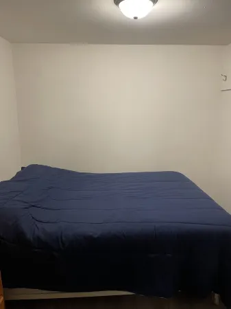 Newly Renovated Cottage