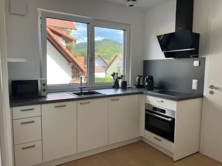 Black Forest Apartments Apartment with 2 bedrooms No.5 Отели в г. Генгенбах