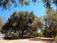 Sleeps 4. Private casita in the country.