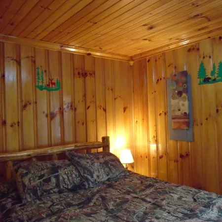 Scenic cabin near Hungry Mother, Mount Rogers, and Grayson Highlands Parks