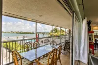 Watch dolphins play in Shelter Cove while swimming in our oversized  pool