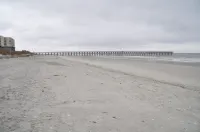 Ocean view, Pet Friendly house with private swimming pool! Sleeps 10.