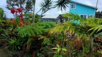 Mongoose Manor- Modern guesthouse / amazing views Các khách sạn ở Ocean View