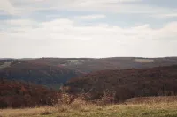 Two Cozy Pods with Water Tower Hotels in Madison County