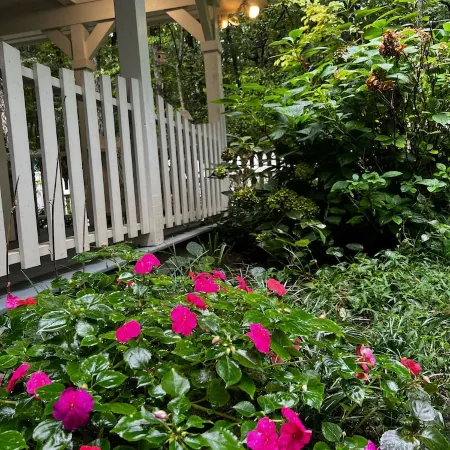 The Blue Cottage located in the woods on Lookout Mountain in Rising Fawn GA