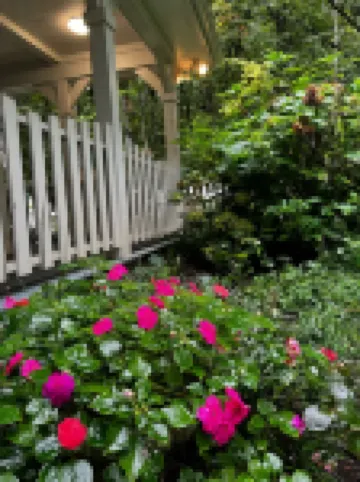 The Blue Cottage located in the woods on Lookout Mountain in Rising Fawn GA