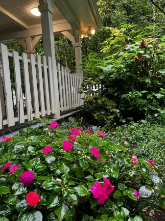 The Blue Cottage located in the woods on Lookout Mountain in Rising Fawn GA
