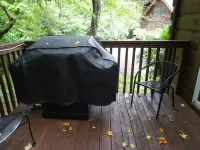 2 Bedroom Cabin  - 2 miles to Parkway