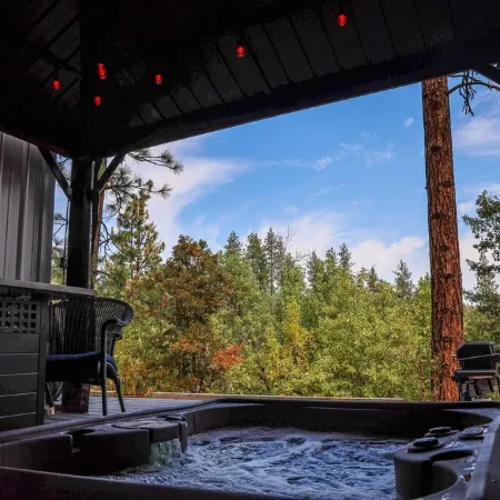 Modern Tiny House in the Woods w/Hot Tub