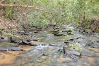 “Serenity Wow Cabin on the Creek Close to Town