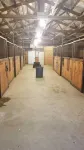 Modern farmhouse oasis. - horses welcome