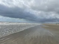 Right on the Beach