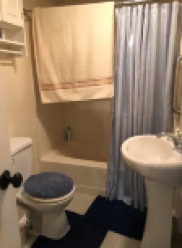1 Bedroom Updated camp on Secluded Holland Pond