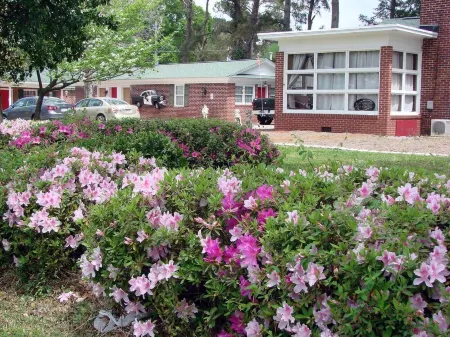 Historic New Bern Charm with Unique Themed Rooms