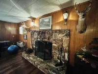 Hereford Skye - Horse & Livestock Trailer Friendly