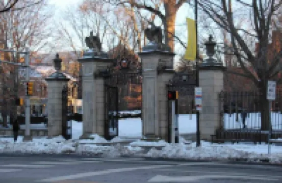 Sunny Retreat 4 BR Ranch w Spacious Backyard