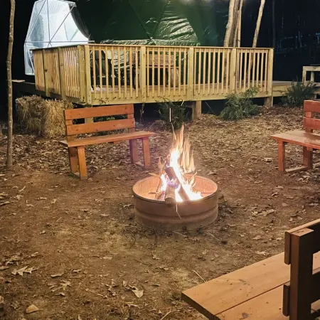 Charlotte Glamping Dome- Fawn and Fern Hideaway