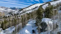THE ICONIC Vail Ski Dome with Amazing Views, New remodel. Free Parking at Vail - 2-Star