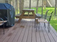 Charming cabin in the woods