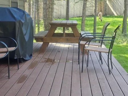 Charming cabin in the woods Отели рядом с достопримечательностью «Montana Vortex and House of Mystery»