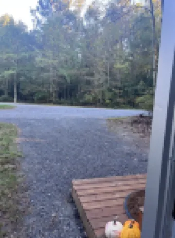 Tiny House in the Woods, sleeps 3, full bath, linens provided, keurig & k cups