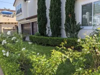 Walk to Pier, Beach, and Downtown