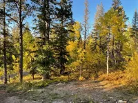 Peak Out Haven Cabin near Terry Peak Ski Lodge