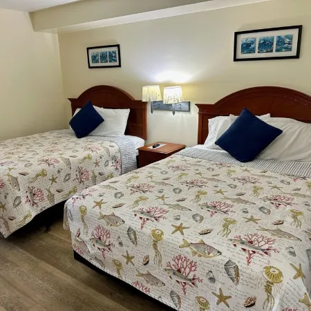 "Direct" Ocean Front 9th Floor Cozy Coastal Cottage Reasonable Rates