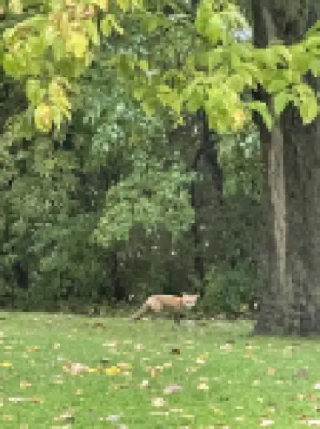 Renwick Mansion Guest House