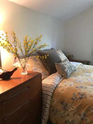 Cozy country cottage in National Park