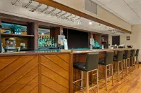 Airport Honolulu Hotel - bar