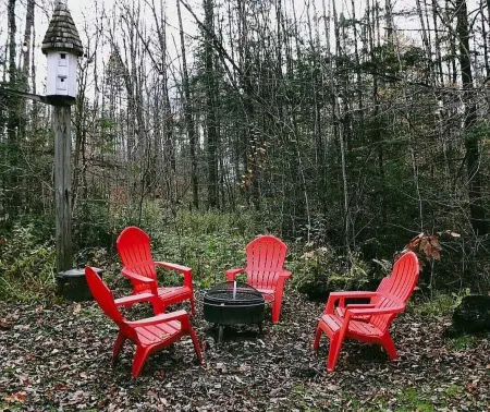 Cozy Cabin with a Stream