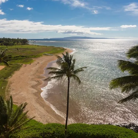Gorgeous Oceanfront Condo Steps From The Beach, Air Conditioned, Free Wi-Fi
