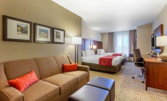 Comfort Suites Glendale - State Farm Stadium Area