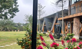 Mộc viila - homestay