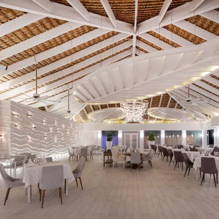 Viva Dominicus Beach by Wyndham, A Trademark All Inclusive