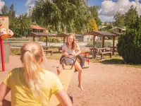 Björkbackens Stugby - Campground Hotels in Vimmerby