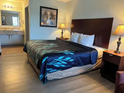 Hotel Bien Venido Hotels near Frio Pioneer Jail Museum