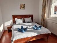 Demizson Panzió Hotels in 