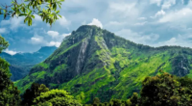 Ella Dream Catcher Resort