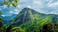 Ella Dream Catcher Resort