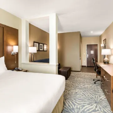Comfort Suites - South Austin