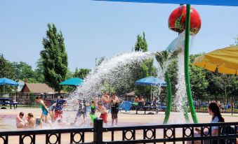 Parkside Flat #5 - Seacliff Beach Suites