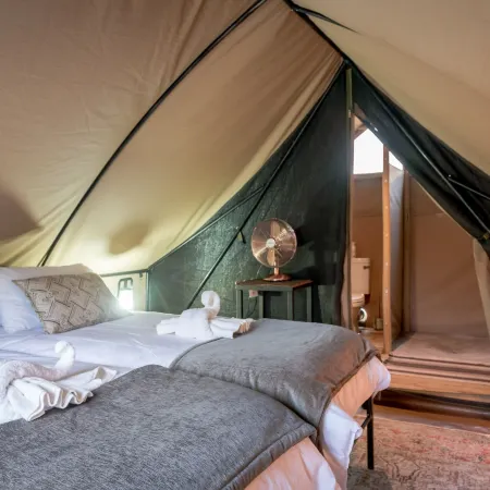 Bundox Explorer Camp