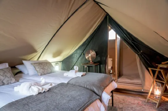 Bundox Explorer Camp