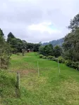 Millar de Aves Hotels in Cartago