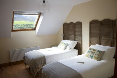 Madra Rua Organic Accommodation - Homestays